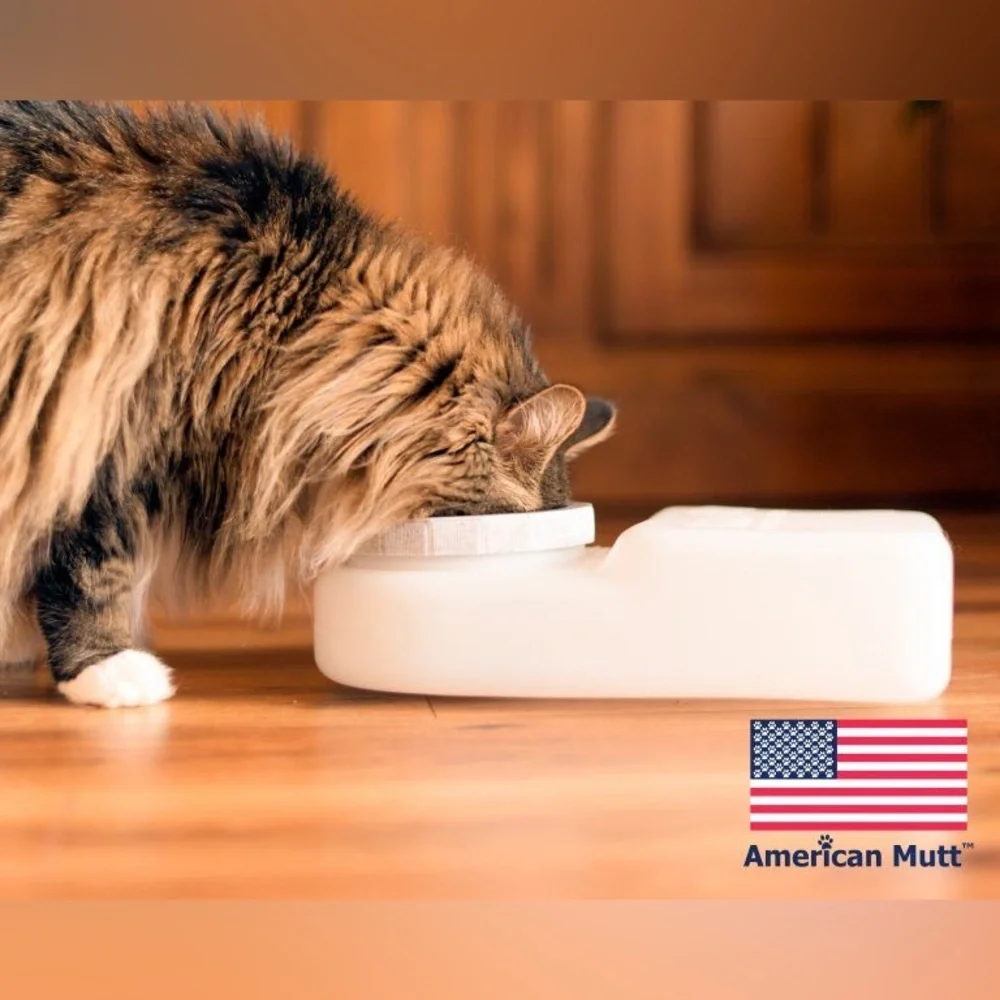 WATERBOY Travel Water Bowl for Pets Dog Cat NON-SPILL SPILL PROOF for Car